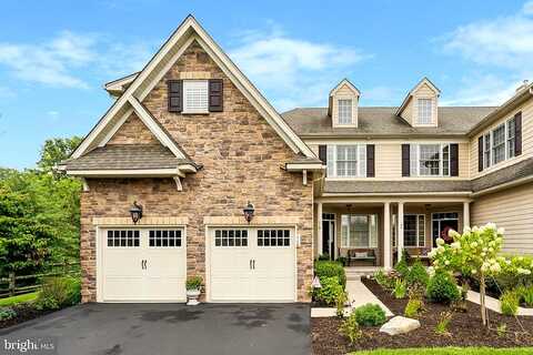 Brindle, NORRISTOWN, PA 19403