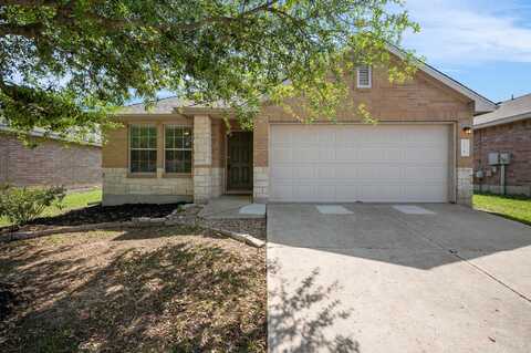 Moonwalker, BUDA, TX 78610