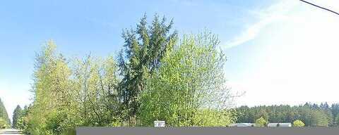 115Th, BRUSH PRAIRIE, WA 98606