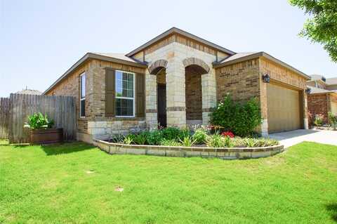 Palm, BUDA, TX 78610