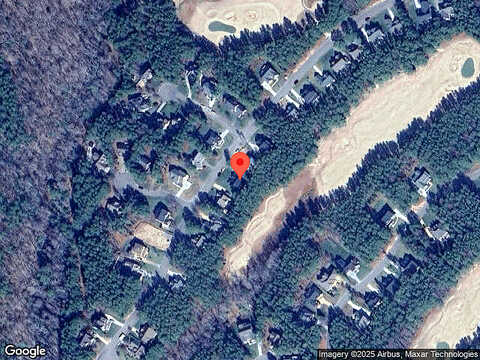 Pine Needles, PROVIDENCE FORGE, VA 23140