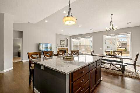 Rabbit, ANOKA, MN 55303