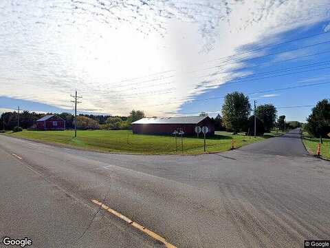 Rabbit, FREMONT, WI 54940