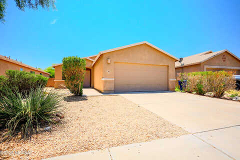 Big Game, TUCSON, AZ 85706