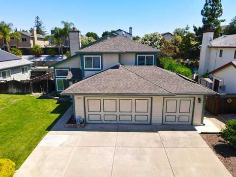 Sunflower, ANTIOCH, CA 94531