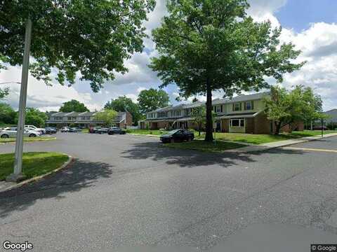 Daffodil, QUAKERTOWN, PA 18951