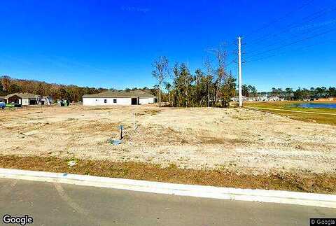 Field Flower, SAINT AUGUSTINE, FL 32092