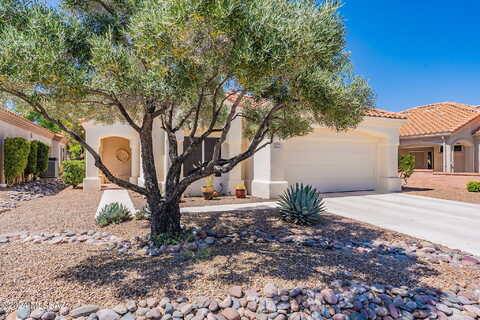 Jonquil, ORO VALLEY, AZ 85755