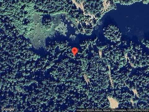 Lily Pad, OLGA, WA 98279