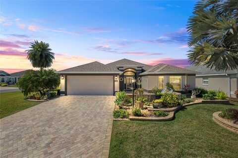 Rain Lily, THE VILLAGES, FL 32163