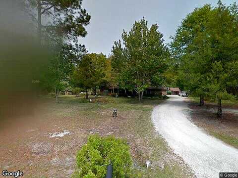Opossum, SAINT JOHNS, FL 32259