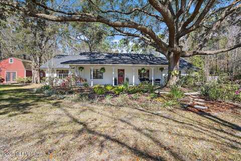 Opossum, SAINT JOHNS, FL 32259