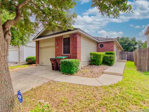 Nettle, SAN ANTONIO, TX 78244
