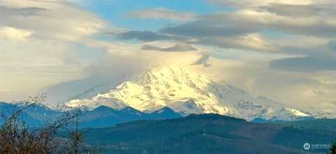 137Th, PUYALLUP, WA 98374