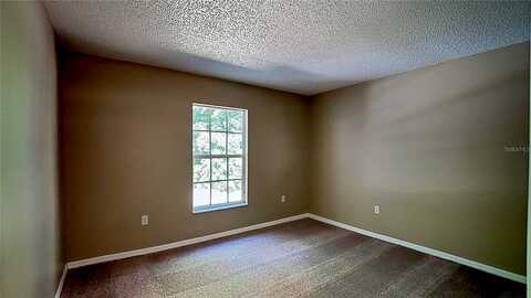 Lime Tree, EDGEWATER, FL 32141