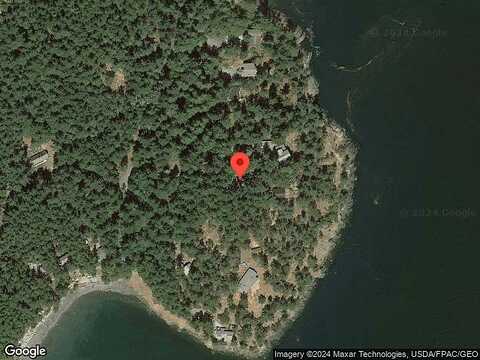 Yew, LOPEZ ISLAND, WA 98261