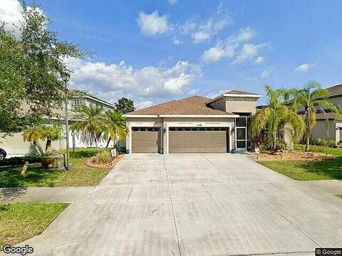 Hobblebrush, NORTH PORT, FL 34289