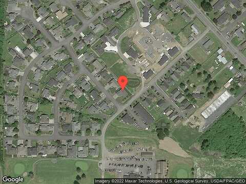 Birdie, CHEHALIS, WA 98532
