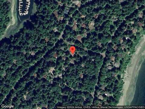 Barbary, SHELTON, WA 98584