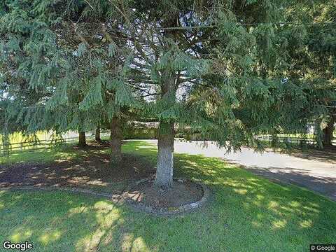 Elderberry, ROCHESTER, WA 98579