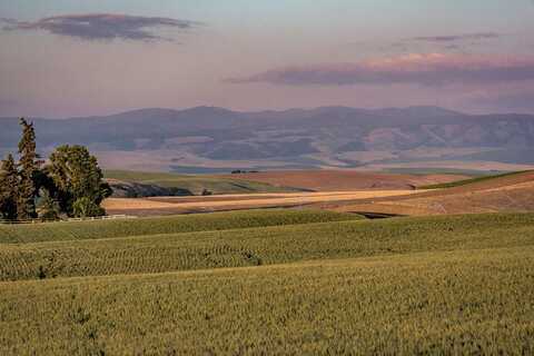 Bergevin Springs, WALLA WALLA, WA 99362