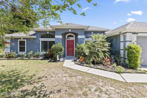Zephyr Lily, PALM COAST, FL 32164