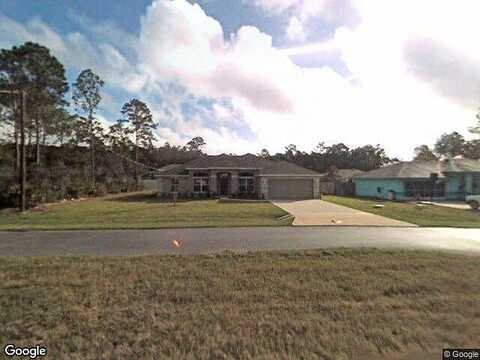 Zephyr Lily, PALM COAST, FL 32164