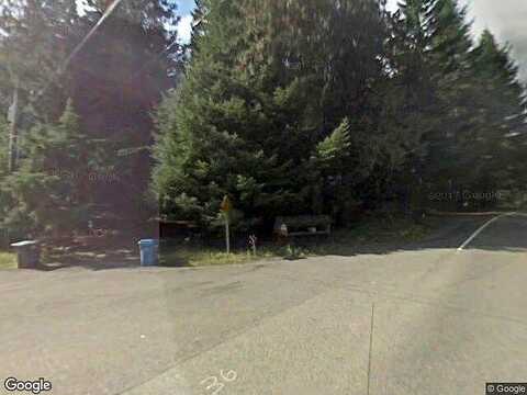 387Th Avenue, ASHFORD, WA 98304