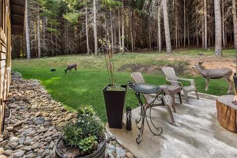 Jenkins, CLE ELUM, WA 98922