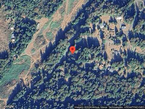 Birch, BRINNON, WA 98320