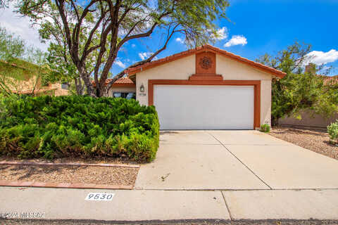 Albatross, TUCSON, AZ 85742