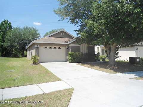 Silverbell, BROOKSVILLE, FL 34613