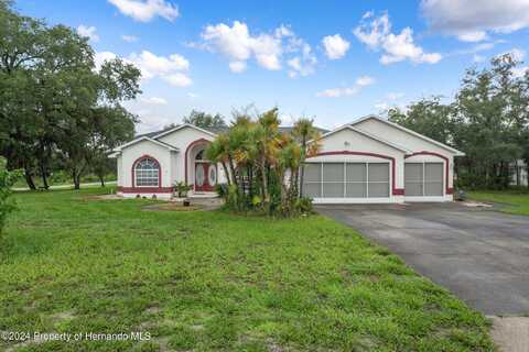 Nuzum, WEEKI WACHEE, FL 34613