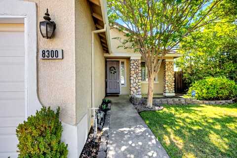White Spruce, ANTELOPE, CA 95843