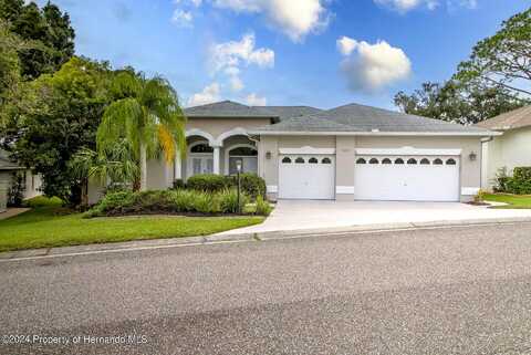 Blue Skies, SPRING HILL, FL 34606