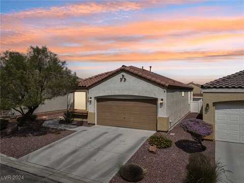 Aspen Mountain, LAS VEGAS, NV 89141