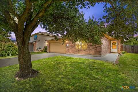 Wegstrom, HUTTO, TX 78634