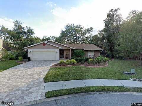 Cork Oak, SARASOTA, FL 34232