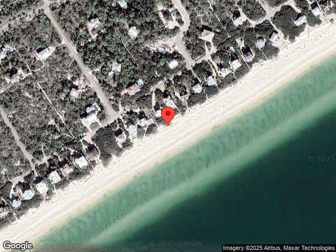 Forsythia, EASTPOINT, FL 32328