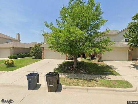 Grizzly Bear, FORT WORTH, TX 76244