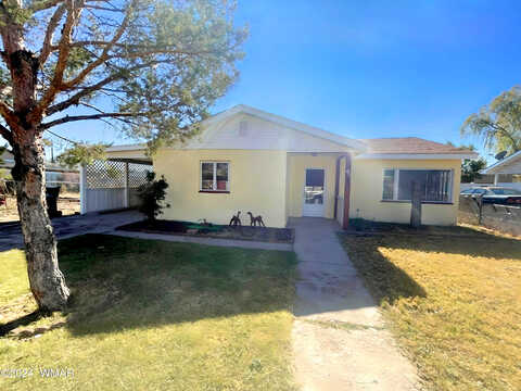 Buffalo, HOLBROOK, AZ 86025