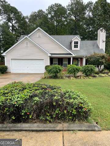 Revolutionary, HAMPTON, GA 30228