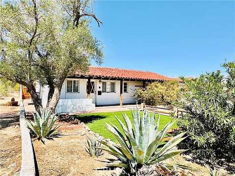 Baileya, TWENTYNINE PALMS, CA 92277