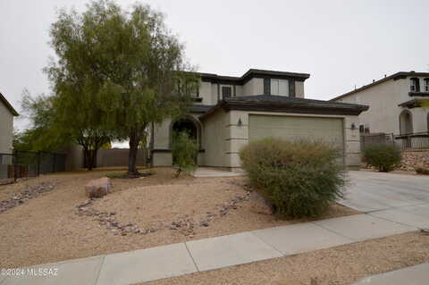Burdock, TUCSON, AZ 85713