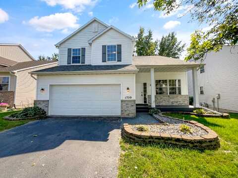 Elm, SAINT PAUL, MN 55110