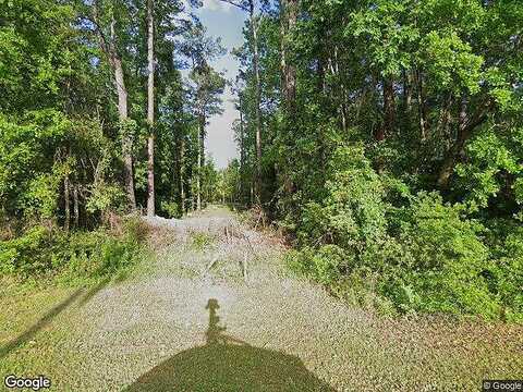 Plantation, MIDDLEBURG, FL 32068
