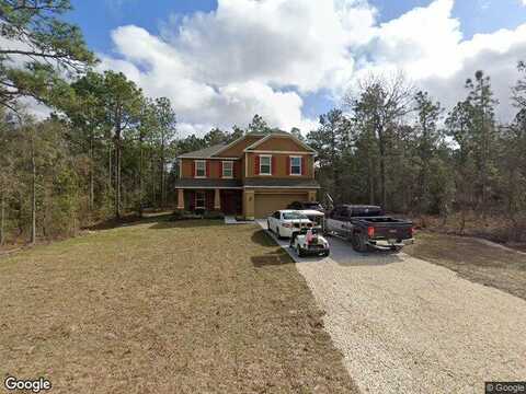 Catbird, BROOKSVILLE, FL 34614