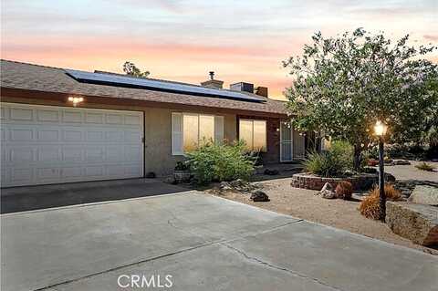 Hooktree, TWENTYNINE PALMS, CA 92277