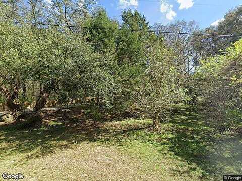 Merlin, DADE CITY, FL 33523