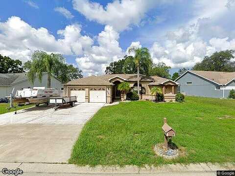 Panther, SPRING HILL, FL 34607